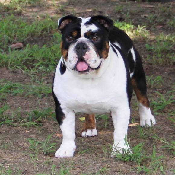 Meet your Posher, Francine - Picture 1 of 1